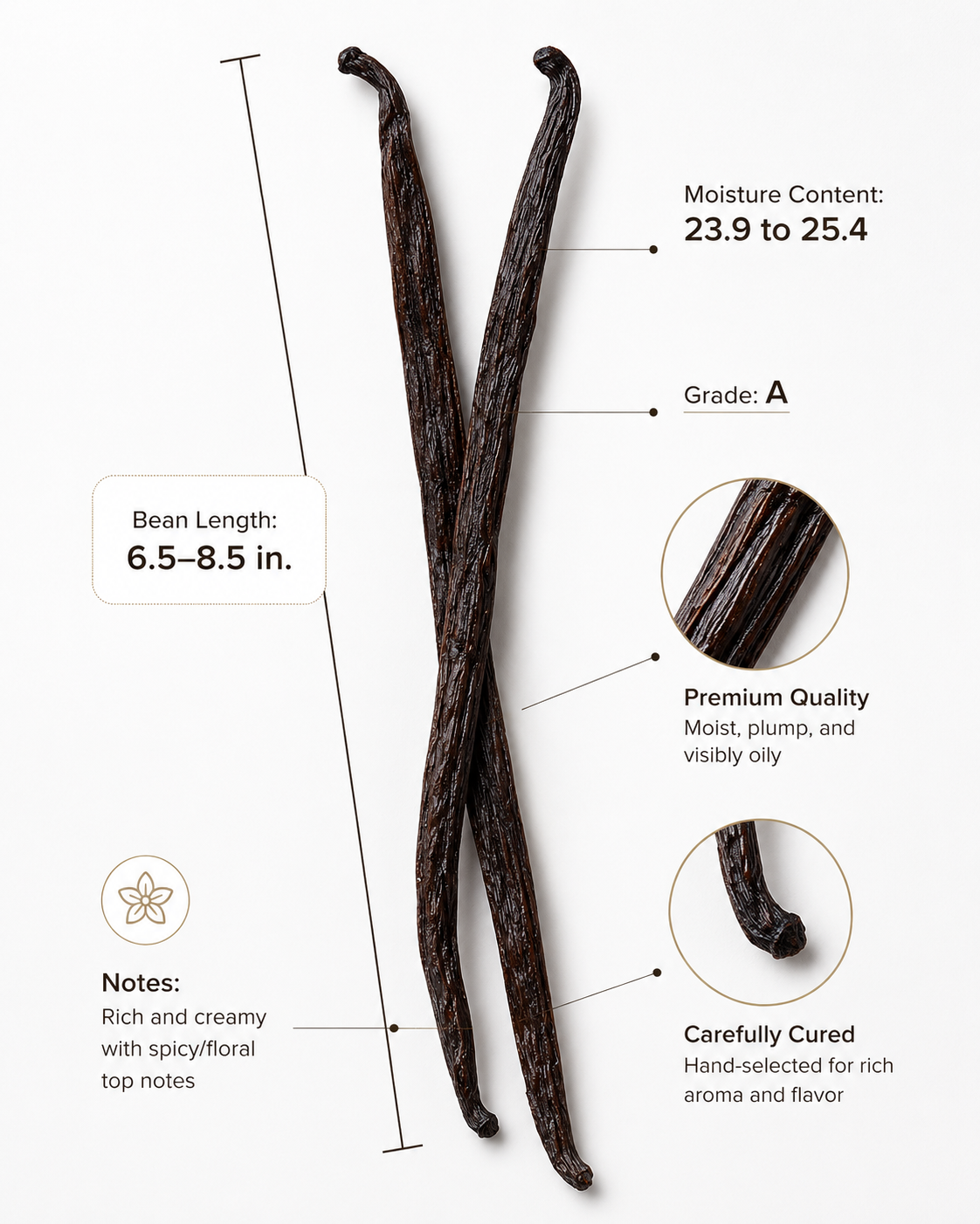 Zanzinilla - Premium Zanzibar Vanilla Beans (2X)